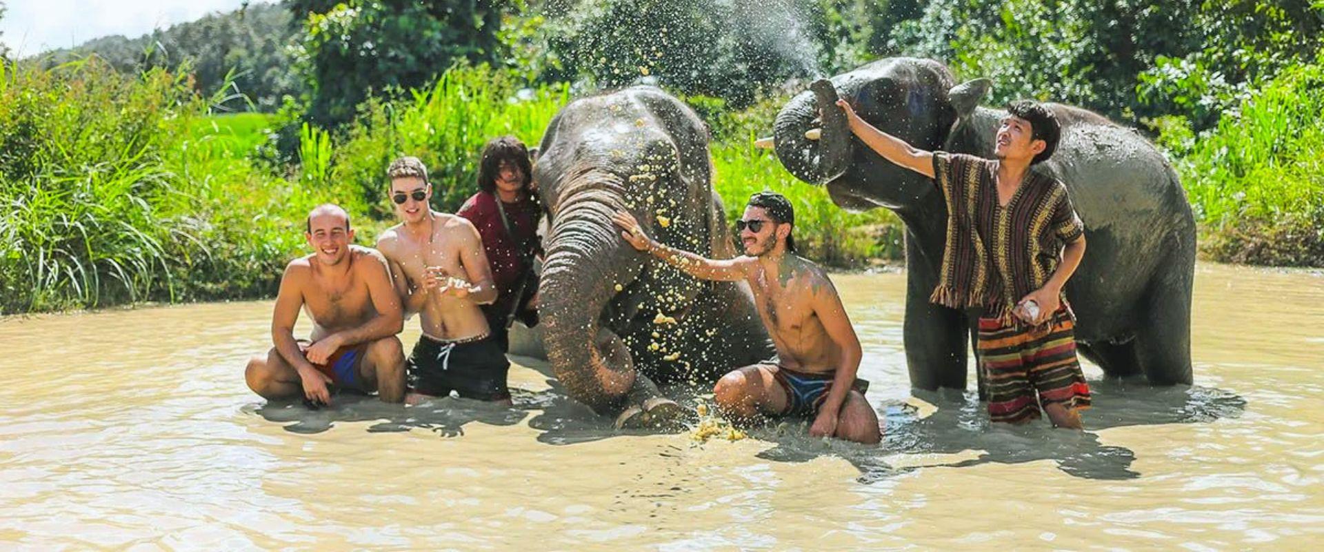 Descubre la belleza salvaje de Chiang Mai