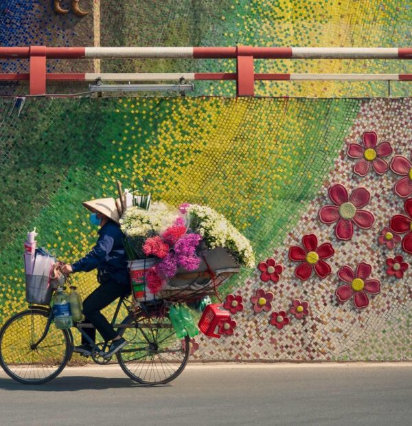 La maravilla de Vietnam 10 días