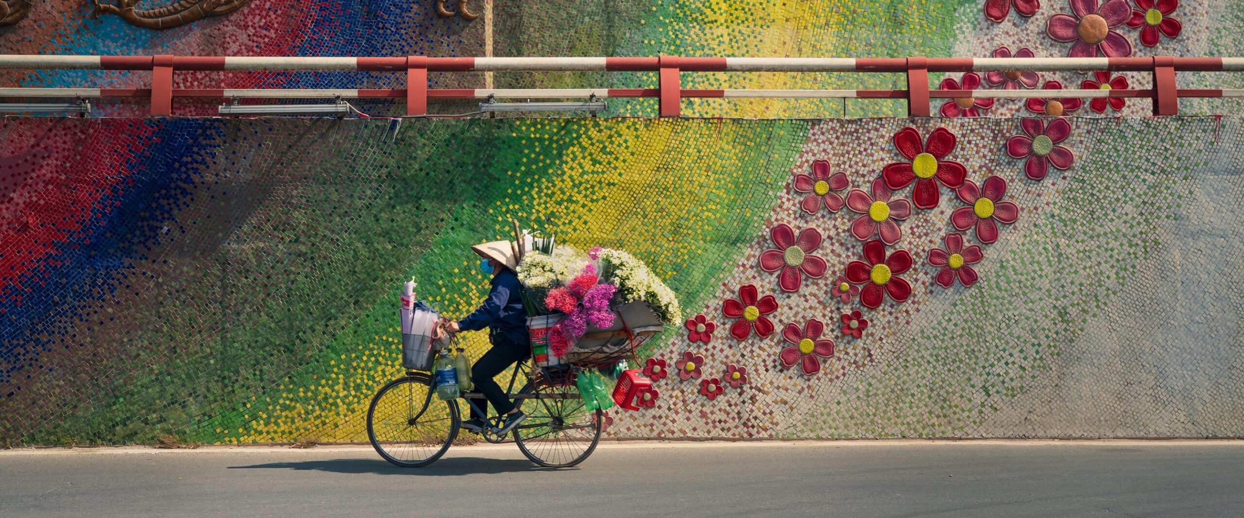 La maravilla de Vietnam 10 días