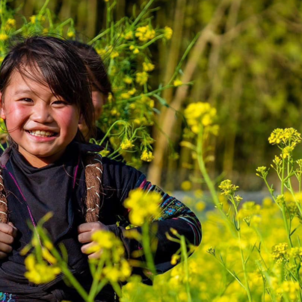 La belleza salvaje en Sapa