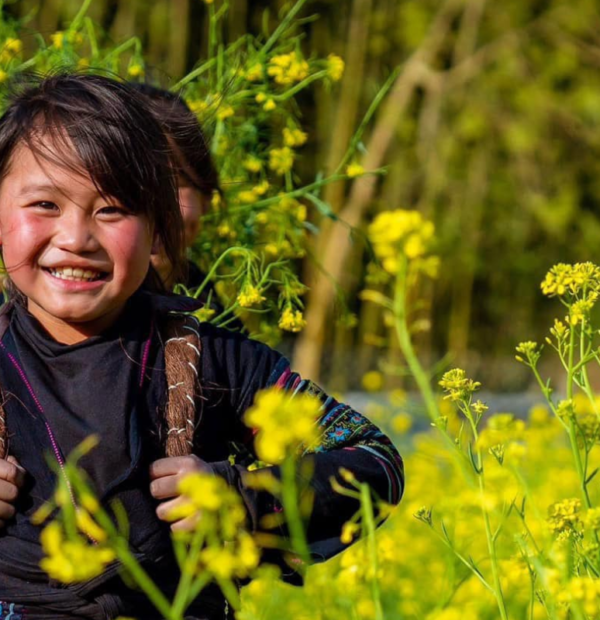 La belleza salvaje en Sapa