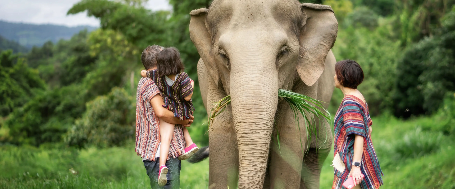 Mundo de elefantes en Chiang Mai