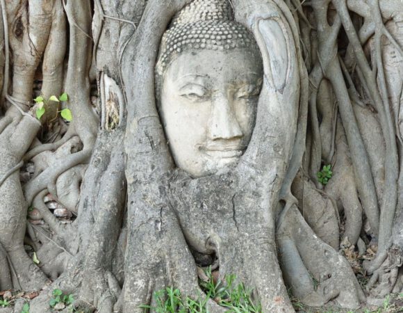 Descubre los alrededores de Bangkok en 01 día