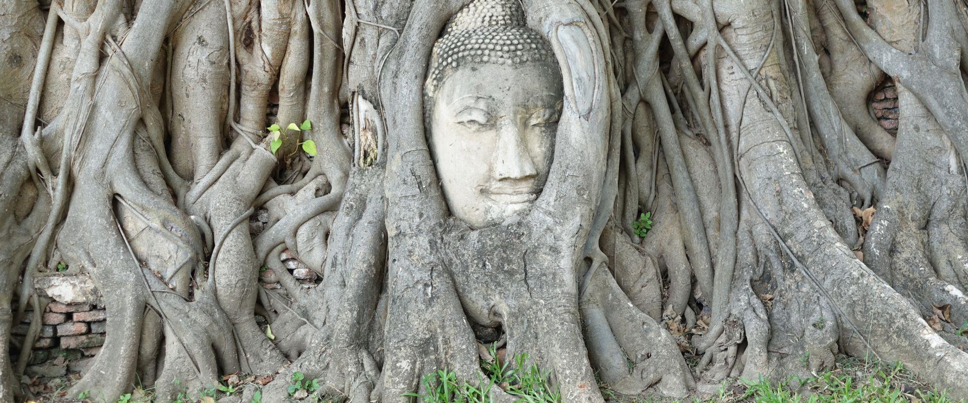 Descubre los alrededores de Bangkok en 01 día