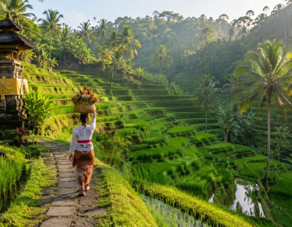Arrozales de Bali: paisajes verdes y cultura local
