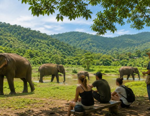 Santuario de elefantes en Tailandia: cómo elegir una visita responsable