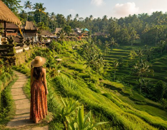 Arrozales de Ubud: guía para visitar terrazas y pueblos cercanos