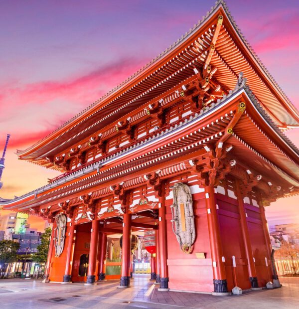 Ruta de Samurai de Japón 9 días